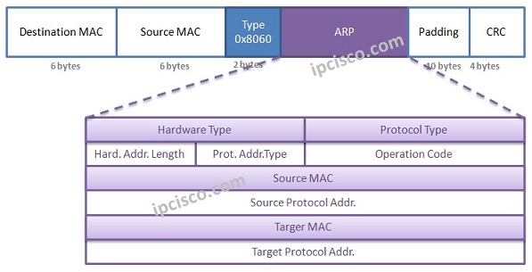 arp-packet-format-1