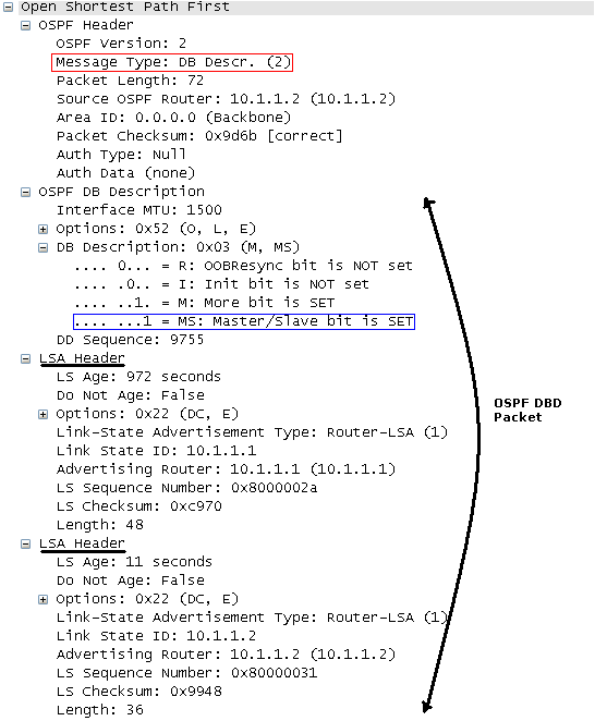 OSPF DBD packet capture