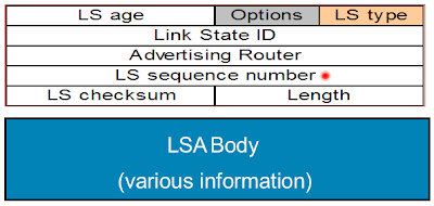 OSPF Header