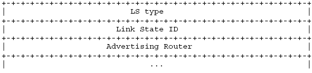 OSPF LSR header format