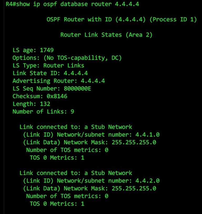 ospf-database-2.1-768x814